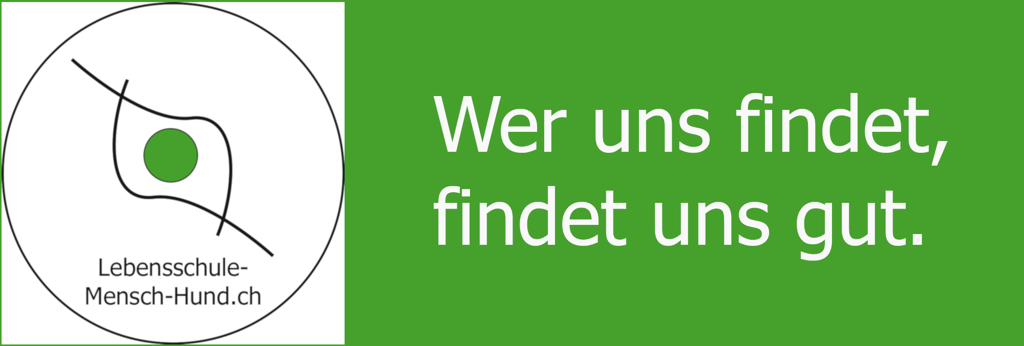 Welpenspielgruppe, Junghunde, Onlinekurs