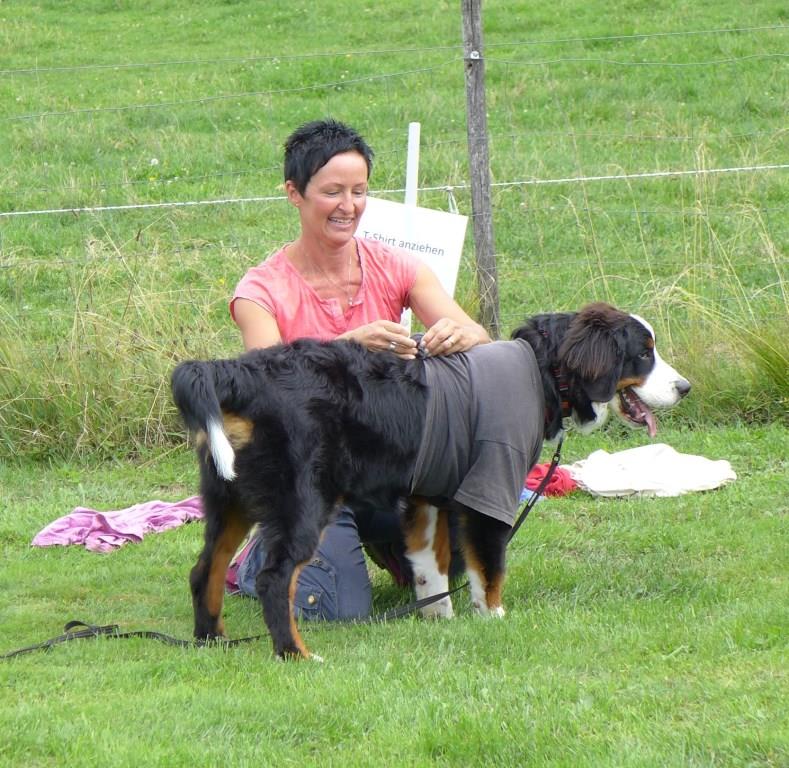 Berner Sennenhund in der Welpenspielstunde