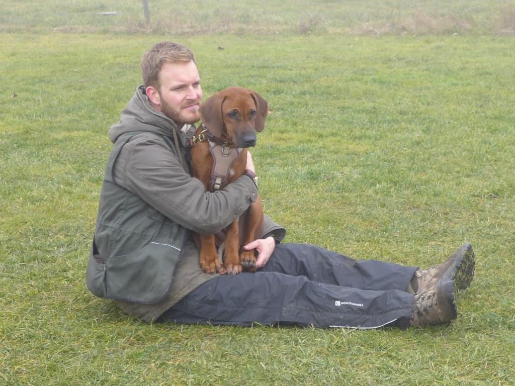 Rhodesian Ridgeback in der Welpenspielgruppe