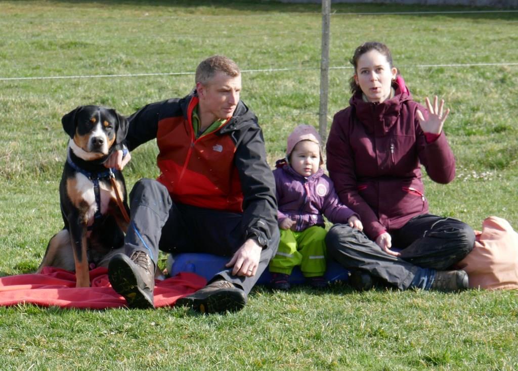 Schweizer Sennenhund mit Familie, gefilmt für die Online-Hundeschule. Unterstützt habe ich sie später mit Privatunterricht