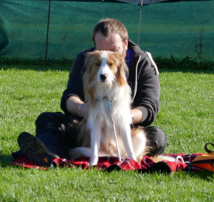Mischling mit Mann in der Welpenspielstunde