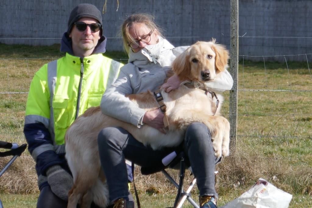 Hovawart im Junghundekurs und anschliessendem Privatcoaching