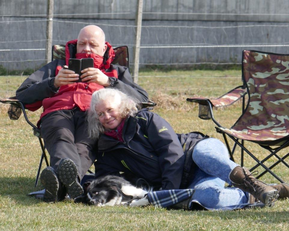 Border Collie im Junghundekurs sowie anschliessende Unterstützung im Privatunterricht