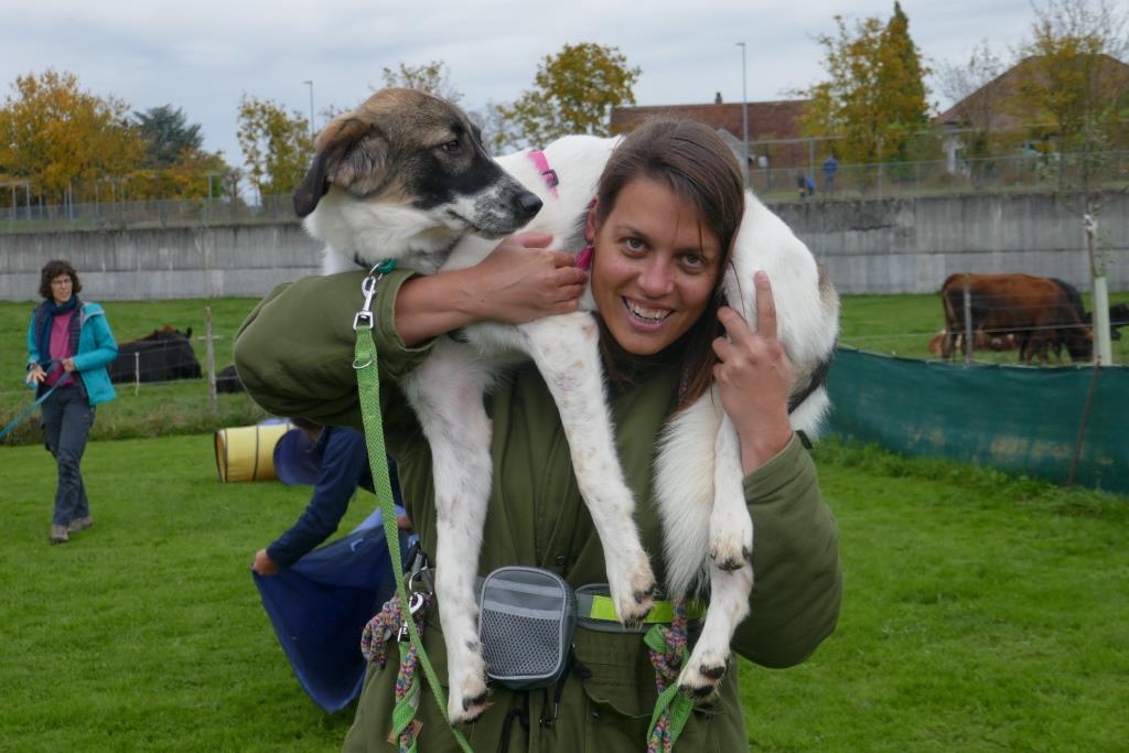 Tierschutzhund im Junghundekurs nach vorgängiger Beurteilung in Privatunterricht