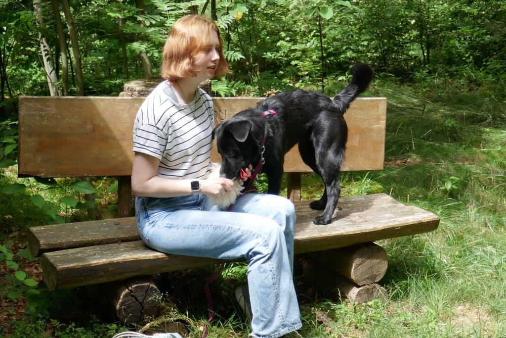 Labrador mit junger Frau im Junghundekurs und später in Privatcoaching