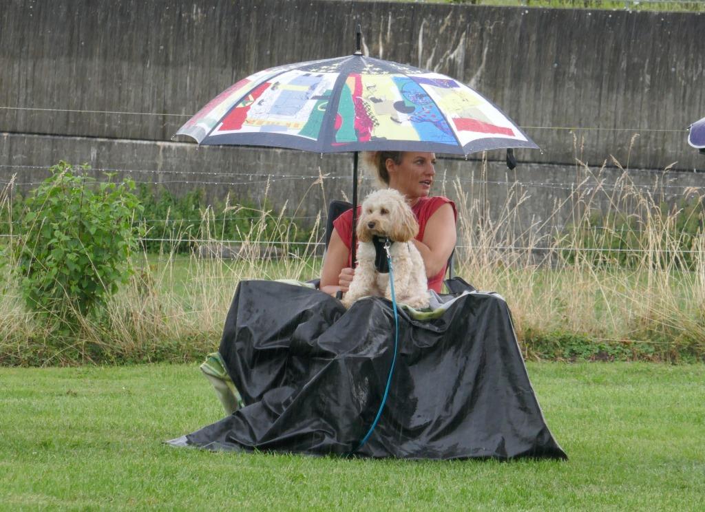 Frau mit Pudel Hund unter dem Regenschirm im Junghundekurs