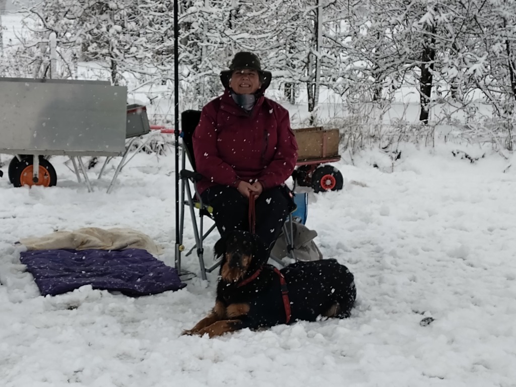 Der Hovawart ist ein toller Hund und gerne gesehen in unserer Hundeschule