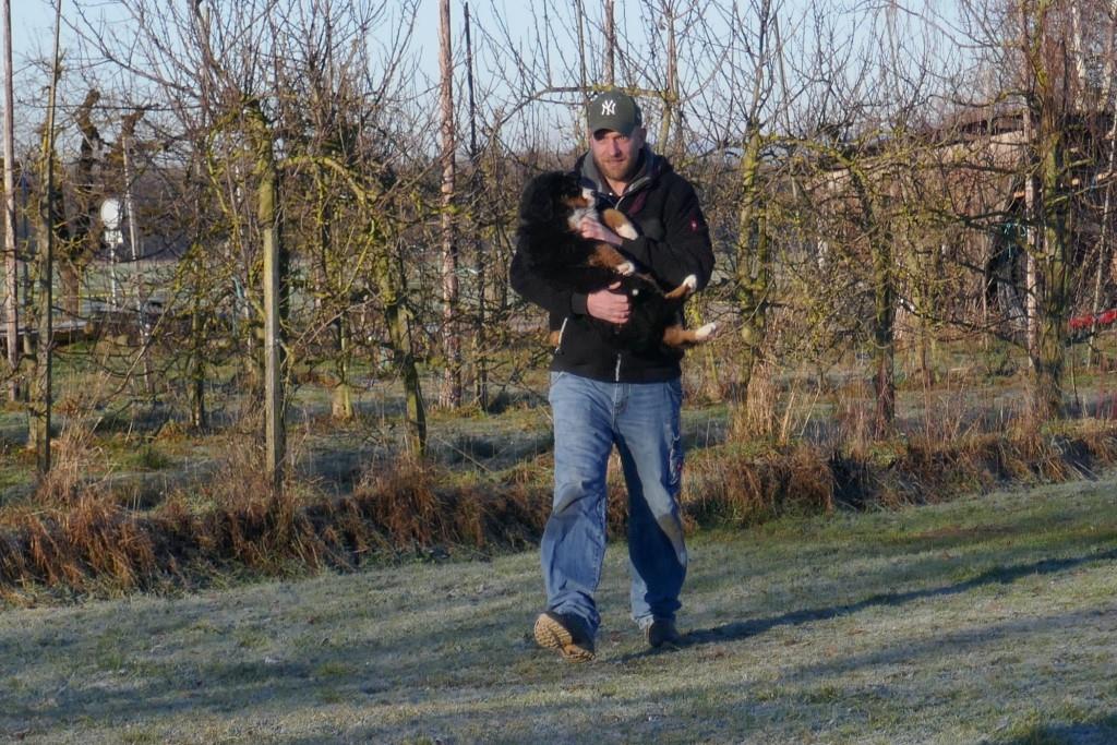 Mann mit Berner Sennenhund in der Welpenspielgruppe unserer Hundeschule