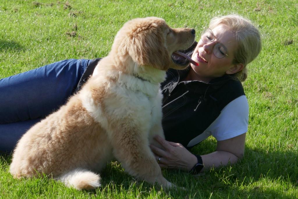 Hovawart in der Welpenspielgruppe